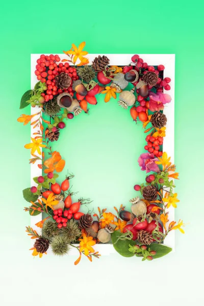 Vivid Thanksgiving Autumn Samhain harvest festival nature background border with flowers, leaves, berry fruit, nuts with white frame on gradient green. Greeting card, invitation, label.