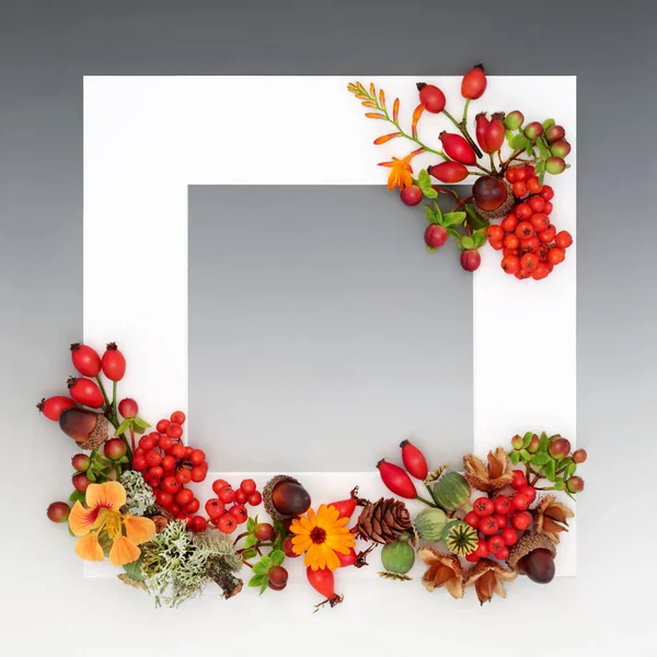 Dia Ação Graças Outono Outono Borda Fundo Com Flores Frutas — Fotografia de Stock