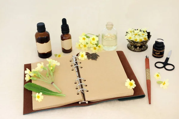 Preparação Flores Primula Essências Naturais Com Caderno Garrafas Óleo Essenciais — Fotografia de Stock