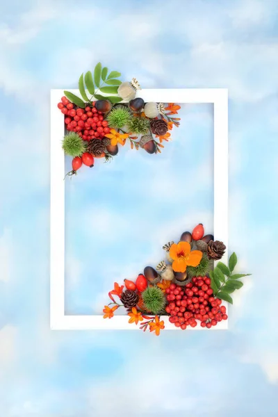 Happy Thanksgiving  Autumn Fall nature fruit, flowers and nuts  background border with white frame on blue sky cloud. Festive harvest floral  abundant concept for label, card, invitation.