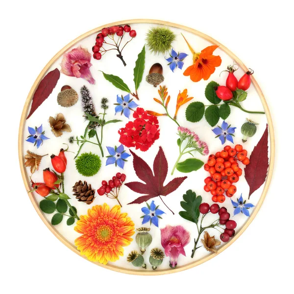 Autumn Thanksgiving Fall leaves flowers, nuts, berry fruit design on white background in wooden circular frame. Abstract flora and fauna vivid composition for card, label, gift tag, logo.