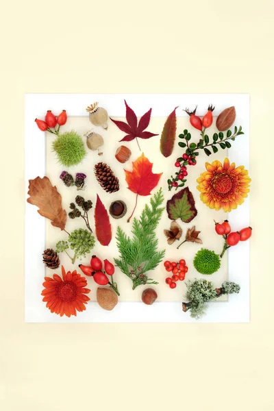 Autumn leaves, flowers, nuts, berry fruit, seed heads and pine cones. Thanksgiving and Fall design on cream background. Composition for card, label, gift tag, logo.