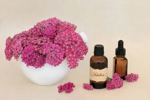 Achillea Yarrow Herb Flowers Natural Alternative Herbal Medicine Tincture Essential — Stock Photo, Image