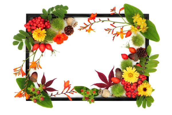 Outono Ação Graças Outono Projeto Fundo Queda Com Flores Frutas — Fotografia de Stock