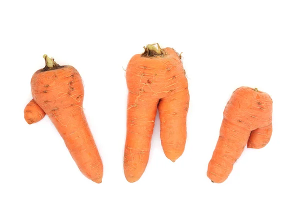Роздвоєні Кручені Морквяні Овочі Форма Викликана Грибком Або Грунтом Заповненим — стокове фото