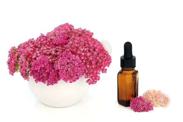 Achillea Yarrow Flower Mortar Alternative Naturopathic Herbal Medicine Essential Oil — Stock Photo, Image