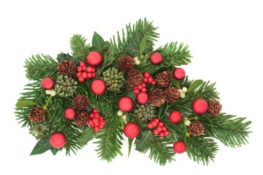 Noel geleneksel çiçekleriyle süslenmiş kırmızı takı süsleri, kutsal böğürtlenler, köknar, ökseotu, sarmaşık, beyaz arka planda çam kozalakları. Yeni yıl için kutlama kartı tasarımı, Noel, Noel.