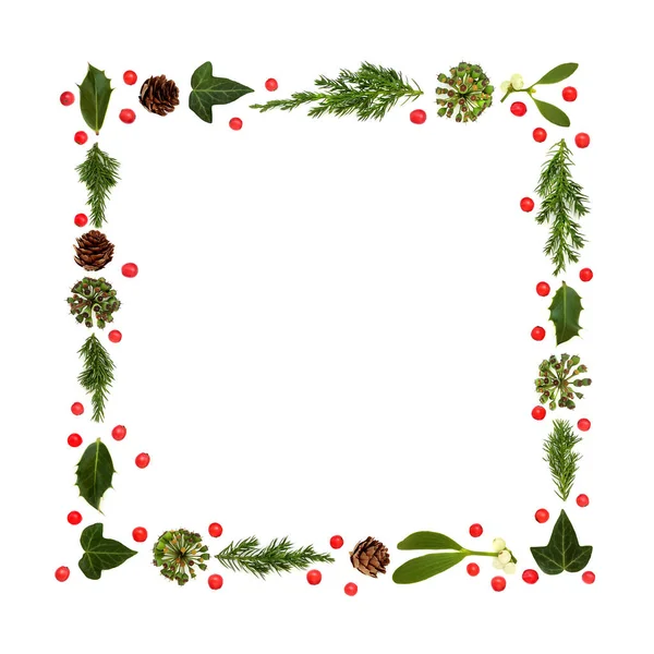 圣诞节的绿色和冬青浆果的抽象背景与白色相邻 礼品标签 邀请函的传统植物区系设计元素 — 图库照片