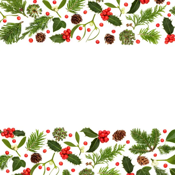 圣诞冬青浆果 寄生和绿叶背景与白色相邻 邀请函 礼品标签 标签等节日装饰设计 — 图库照片
