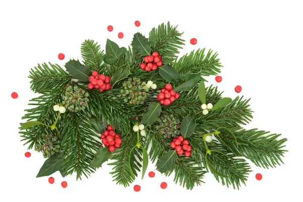 Χριστουγεννιάτικη Διακόσμηση Πράσινο Χειμώνα Holly Έλατο Ερυθρελάτης Γκι Κισσός Κόκκινα — Φωτογραφία Αρχείου