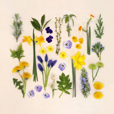 Bahar mevsimi çiçekleri ve doğal kenevir kağıdından geniş bir koleksiyon. Mevsimlik doğa çalışmaları doğal çiçek bileşimi üzerine..