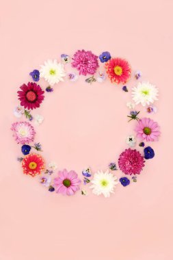 Pembe arka planda bahar çiçeği çelengi dekoru. Kasımpatı, gerbera, nonoş, biberiye çiçeği. Doğal bahar doğası dekoratif sanat.