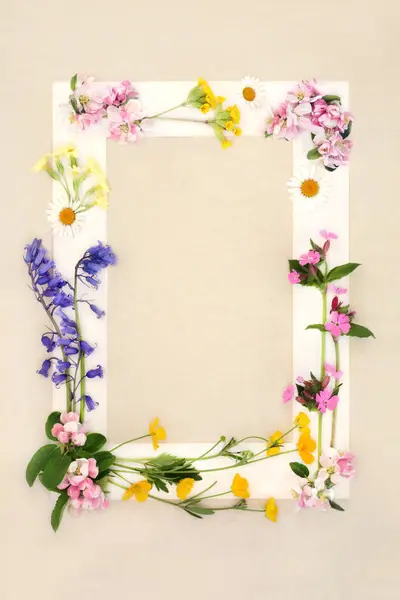 Spring wildflower background frame, bluebell, apple blossom, cowslip, red campion, daisy, buttercup flowers. Floral Beltane nature seasonal design, cream border on hemp paper. Naturopathic flowers.