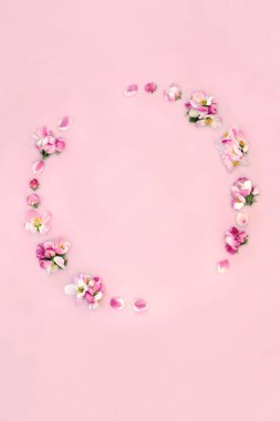 Bahar ve Beltane için elma çiçeği çelengi. Bahar, Paskalya, Anneler Günü için Tasarım, kart, logo, hediye etiketi veya pembe arka planda davetiye.