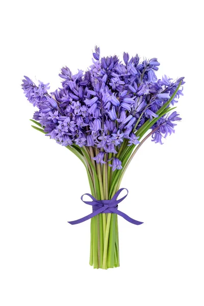 Квітковий Букет Bluebell Spring Білому Тлі Пов Язаний Фіолетовим Стрічковим — стокове фото