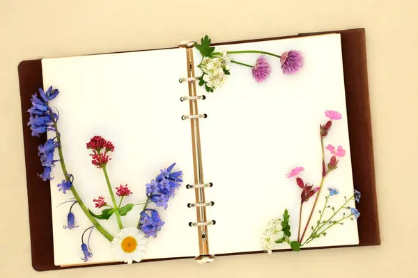 Wildflowers from the British countryside with old leather notebook. Floral composition Spring nature study with flowers used in natural herbal medicine on hemp paper background.