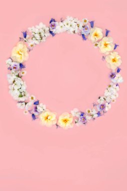 Bahar Beltane çiçek çelengi kiraz çiçeği, çan çiçekleri, nonoşlar ve narsisli çiçekler. Paskalya, Anneler Günü için çiçek tasarımı, kart, logo, hediye etiketi ya da pembe üzerine davetiye