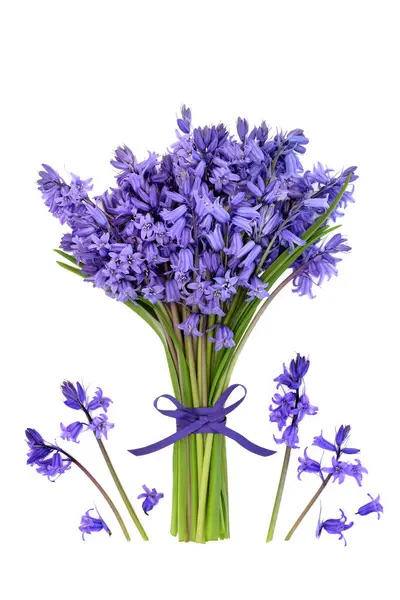 Блакитна Квітка Позі Весни Білому Тлі Пов Язана Фіолетовим Стрічковим — стокове фото