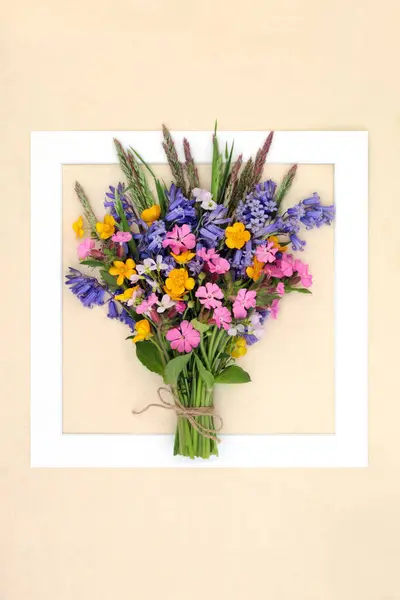 Primavera Wildflower Cornice Posy Sfondo Con Bluebell Campion Rosso Ranuncolo — Foto Stock