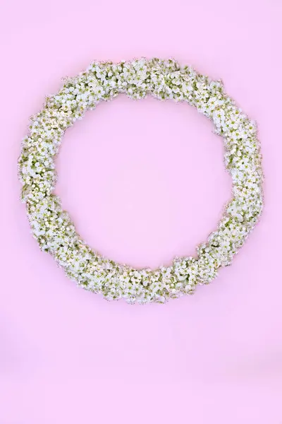 Galagonyavirág Koszorú Rózsaszín Alapon Virágos Női Tavaszi Koszorú Logó Menü Stock Kép