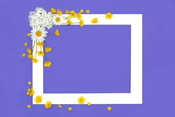 Цвіте Квітка Фонова Рамка Весняного Пояса Фіолетовому Квітковий Дизайн Квітами Стокова Картинка