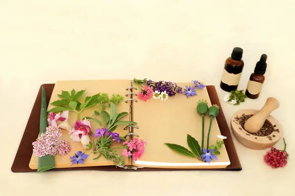Preparação Óleo Essencial Aromaterapia Com Flores Ervas Flores Silvestres Usadas — Fotografia de Stock