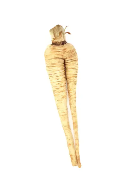 Forked Misshaped Parsnip Vegetable Organic Imperfect Example White Background Stock Picture