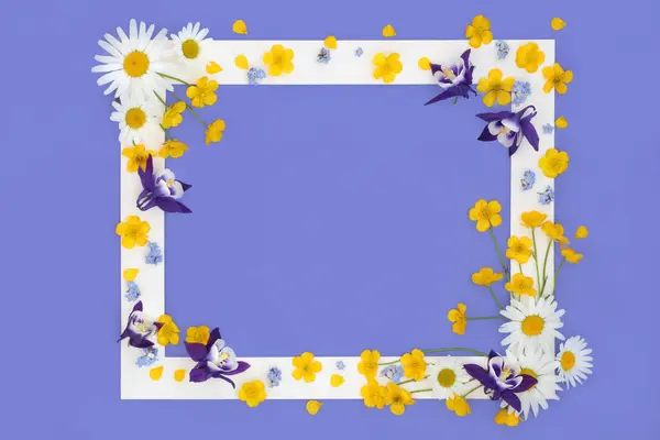Весняна Квітка Фонова Рамка Дикої Квітки Фіолетовому Квітковий Дизайн Beltane Стокове Фото