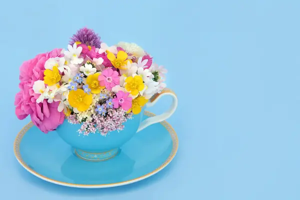 Blommor Och Vilda Blommor Tekopp Surrealistiskt Arrangemang Blå Bakgrund Blommigt Royaltyfria Stockbilder