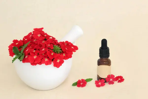 红色的马鞭草花 有精油瓶 使用草药作为镇静剂 治疗失眠 抑郁症 关节炎 女性问题 心脏病 在麻纸上 秘鲁A 图库图片