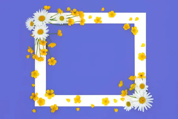 Весняна Ромашкова Масляна Квіткова Рамка Фіолетовому Фоні Квітковий Дизайн Квітами Ліцензійні Стокові Фото