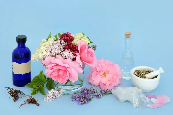 Természetes Alternatív Adaptogén Gyógynövények Virágok Gyógynövény Gyógyszer Nyugtató Virágos Élelmiszer Jogdíjmentes Stock Képek