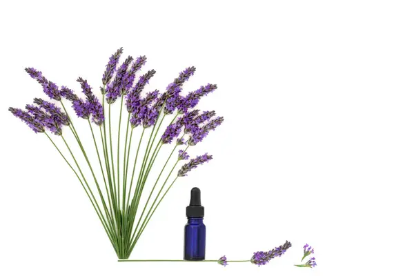 Lavendelblomört Aromaterapi Eterisk Olja Som Används Naturliga Alternativa Växtbaserade Läkemedel Stockfoto