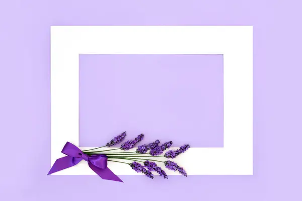 Lavendel Blomma Ört Blommig Bakgrund Gräns Används Naturlig Alternativ Örtmedicin Royaltyfria Stockbilder