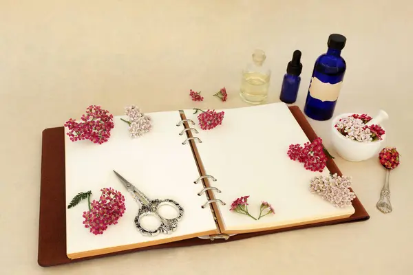 Achillea Yarrow Herb Flower Preparation Natural Herbal Medicine Remedy Notebook Stock Image