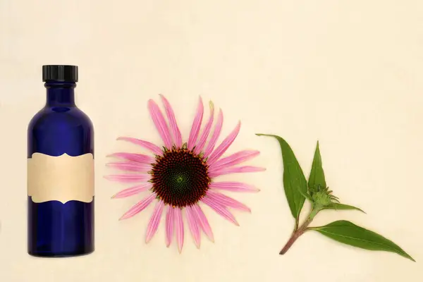 Echinacea Ört För Alternativa Läkemedel Rättsmedel Med Blå Tinktur Flaska Royaltyfria Stockfoton