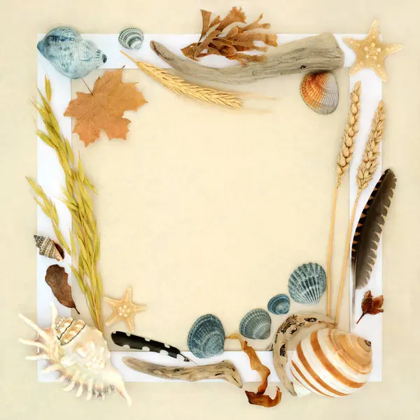Natural Nature Object Collage Background Border Design Feathers Driftwood Sea Stock Picture