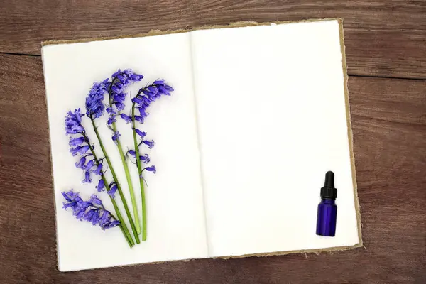 蓝铃花用在天然草本植物中 有旧的大麻笔记本和蓝色药瓶 背景为农村木材 英国植物种类的植物学研究 图库照片