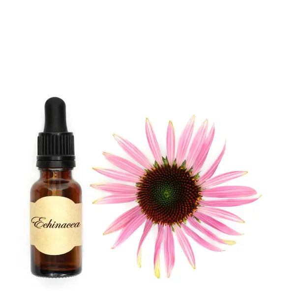 Natural Echinacea Alternative Herbal Medicine Tincture Bottle Used Treat Coughs Stock Image