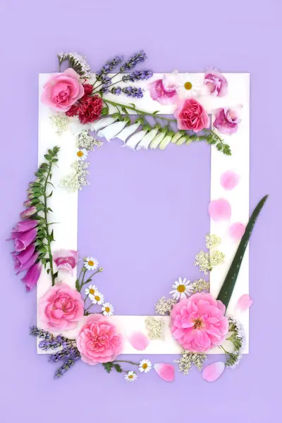 Herbal Medicine Summer Flowers Wildflowers Background Frame Purple Floral Nature Stock Picture