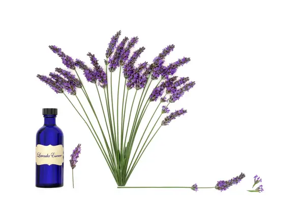 Lavender Herb Flower Aromatherapy Essential Oil Used Natural Alternative Herbal Stock Picture