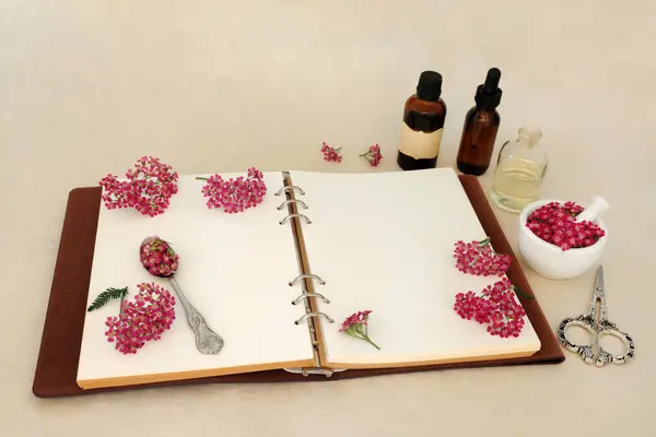 Achillea Yarrow Kruid Bloem Voorbereiding Alternatieve Natuurlijke Kruidengeneeskunde Met Notebook Stockfoto