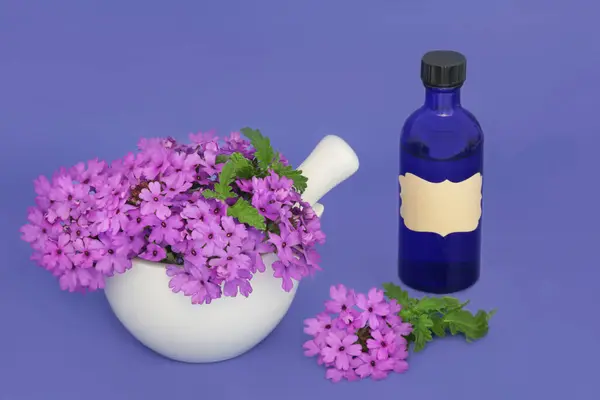 Verbena Herb Flowers Mortar Essential Oil Bottle Herbal Medicine Sedative Stock Image