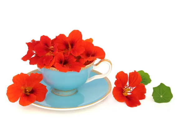 Kapuzinerkresse Blüht Einer Teetasse Auf Weißem Hintergrund Der Lebensmitteldekoration Und lizenzfreie Stockfotos