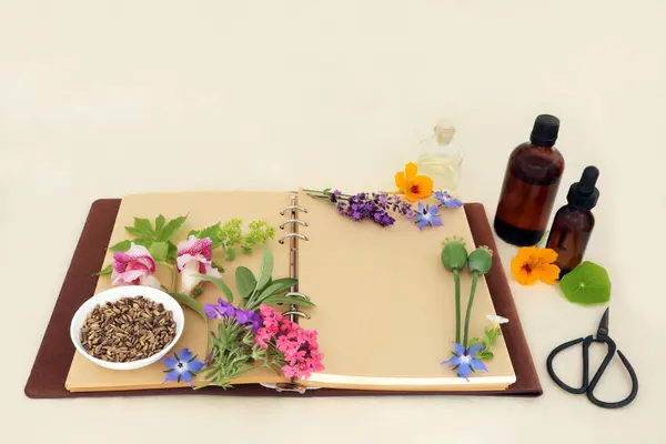 Kräutermedizin Vorbereitung Mit Blumen Und Kräutern Für Natürliche Aromatherapie Behandlungen Stockbild