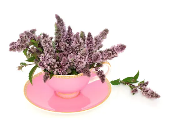 Peppermint Flower Leaf Tea Pink Teacup White Background Copy Space Stock Photo