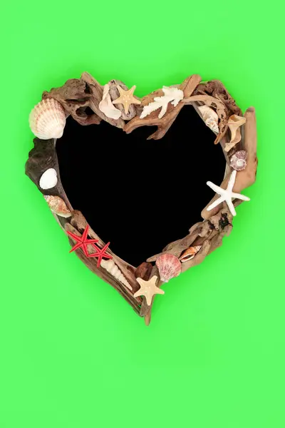 Seashell Driftwood Heart Shape Wreath Abstract Design Green Background Chalkboard ストック写真