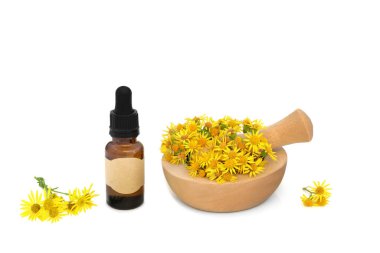 Havanda Ragwort çiçekleri, gerekli yağ şişesiyle birlikte beyaz üzerine havan topu. Kolik, gut, romatizma, acı verici dönemler, menopoz semptomları için bitkisel ilaçlar, çiftlik hayvanları için zehirlidir..