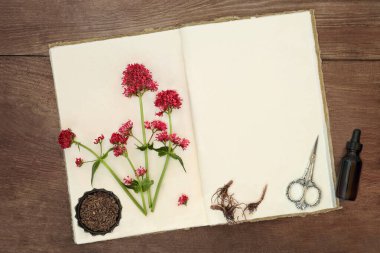 Çiçekli kırmızı kediotu kökü ve kırsal ahşap arka planda eski kenevir defteri. Geleneksel doğal alternatif bitkisel tıpta kullanılır. Valeriana.