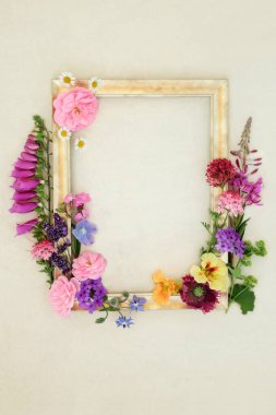 Naturopatik ve homeopatik bitkiler için altın çerçeveli bitkiler ve çiçekler. Kenevir kağıdındaki doğal ilaçlar için çiçek esansları.